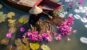 Ninhbinh Destination 2