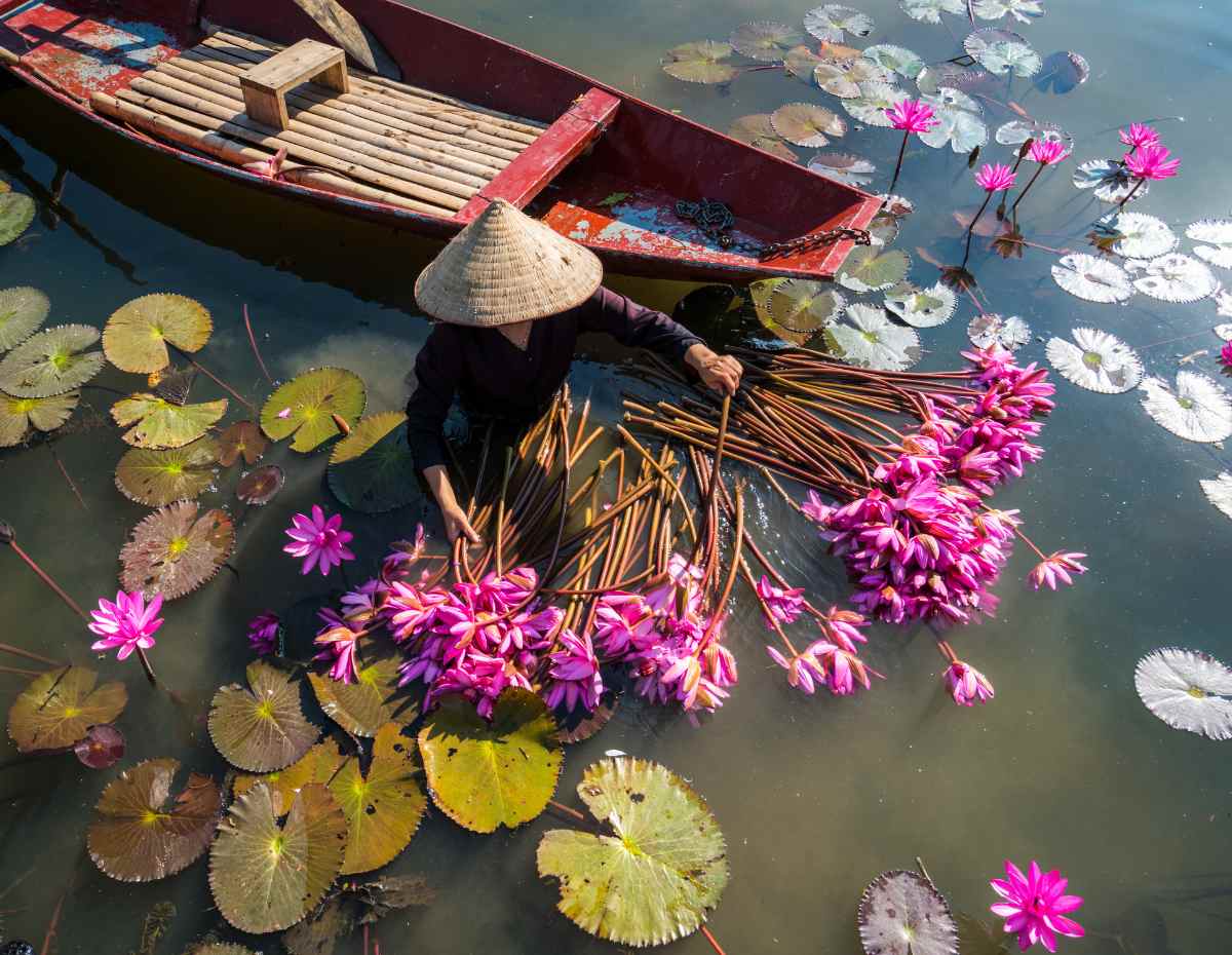 Ninhbinh Destination 2