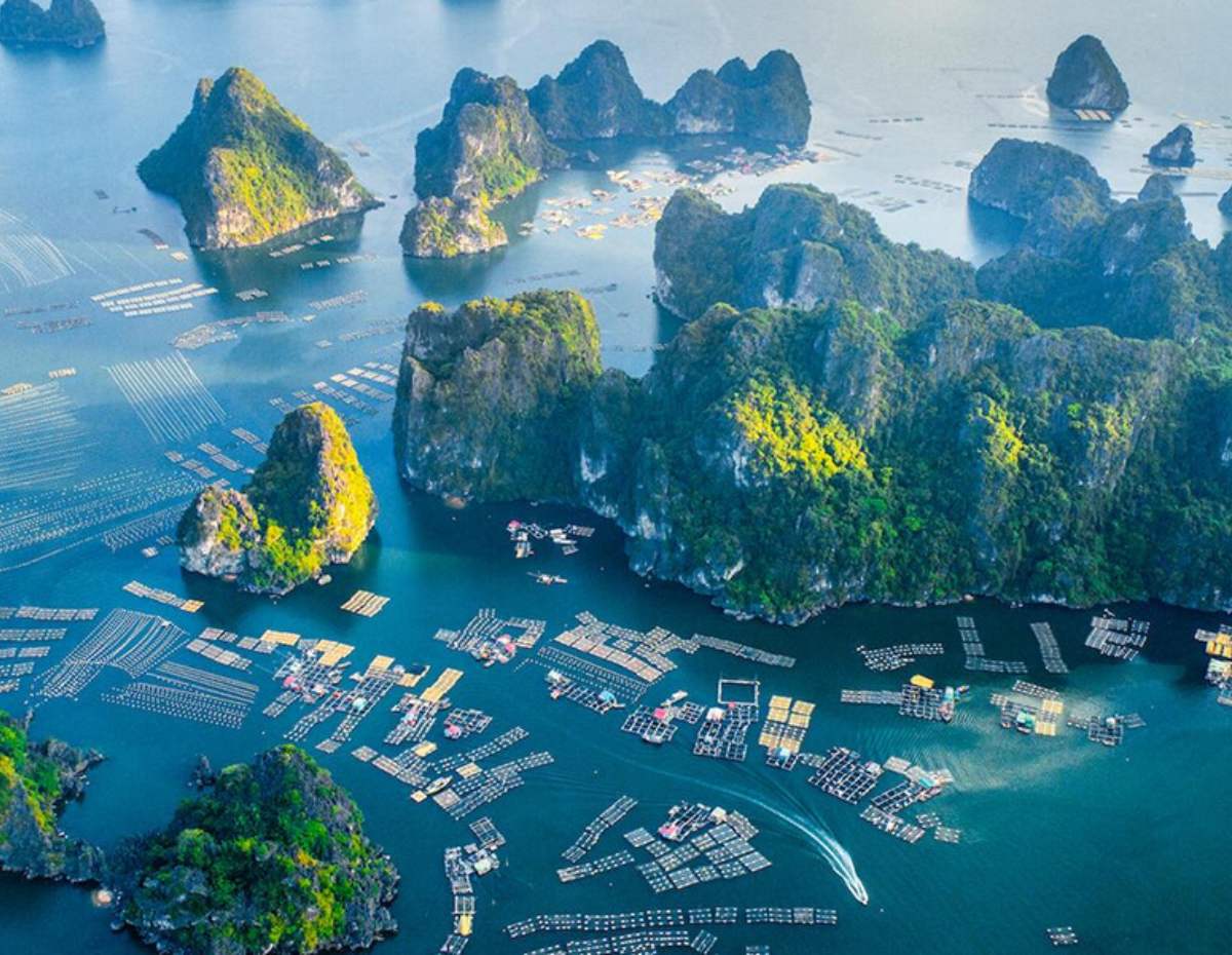 Blog travel to Vietnam 6