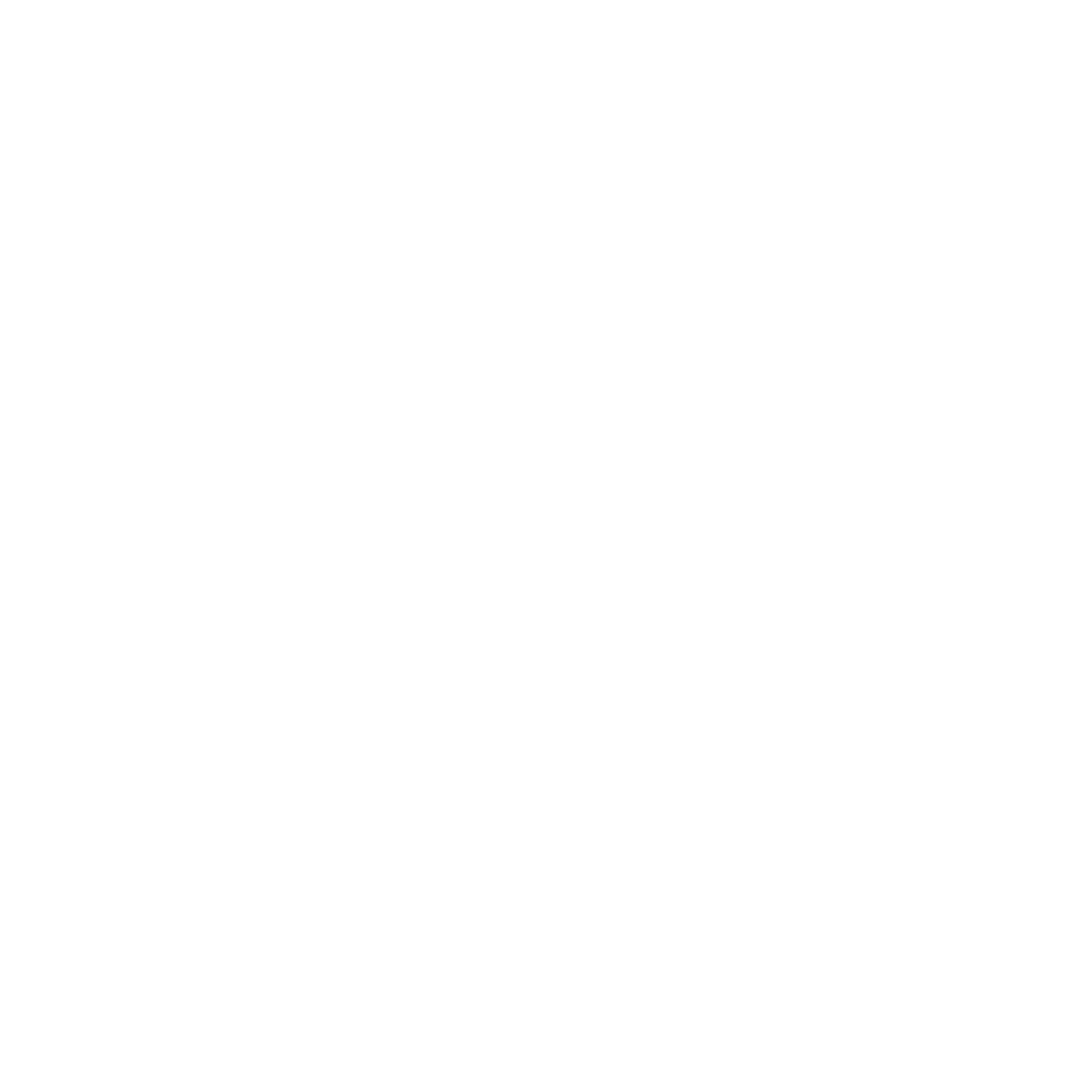 light logo