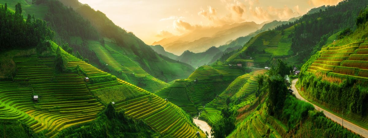 Blog 14 Sapa Rice Terraces