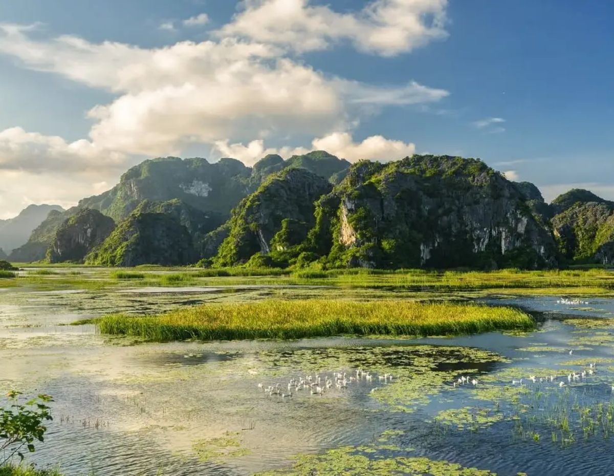 Blog 3 Van Long Lagoon