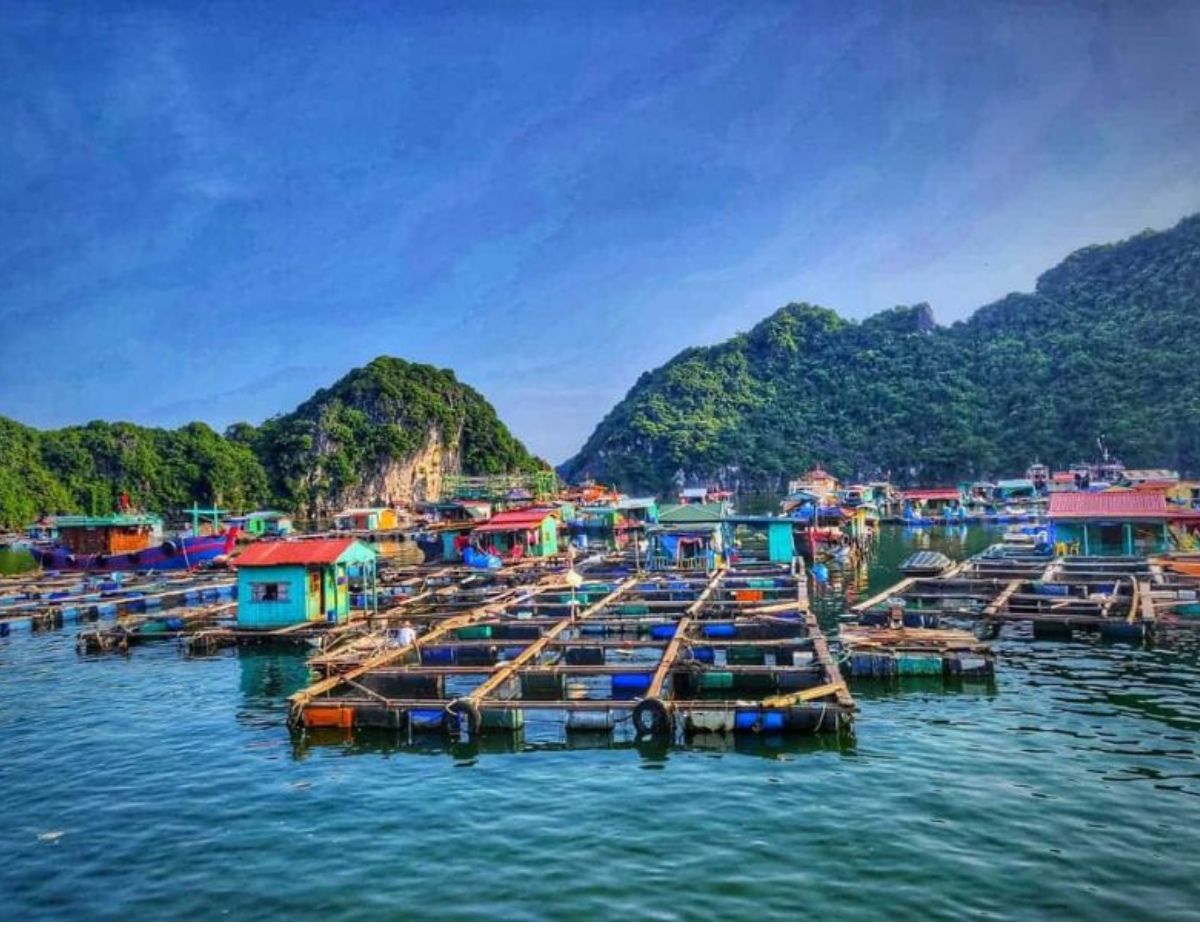 Blog 5 Quang Van Fishing Village