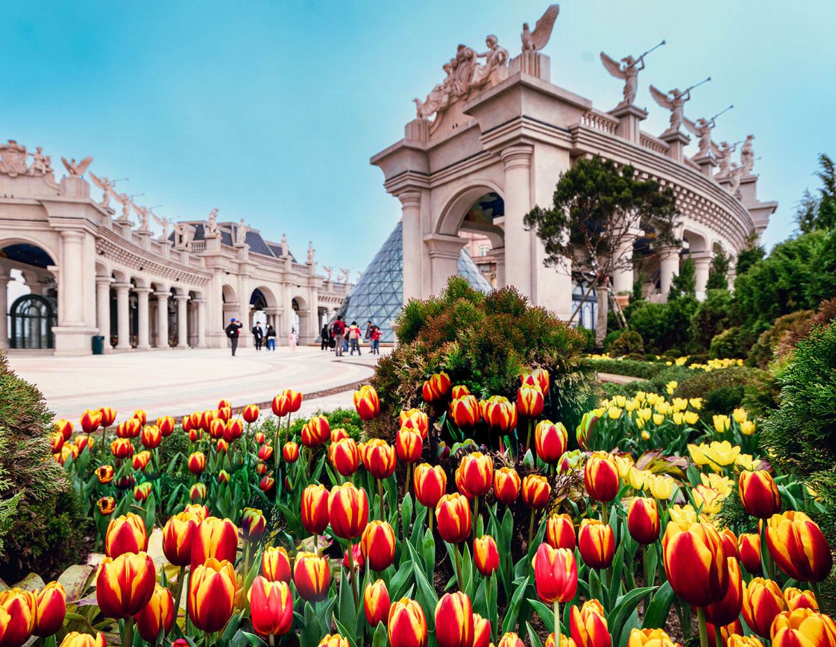 Blog 8 flower festival