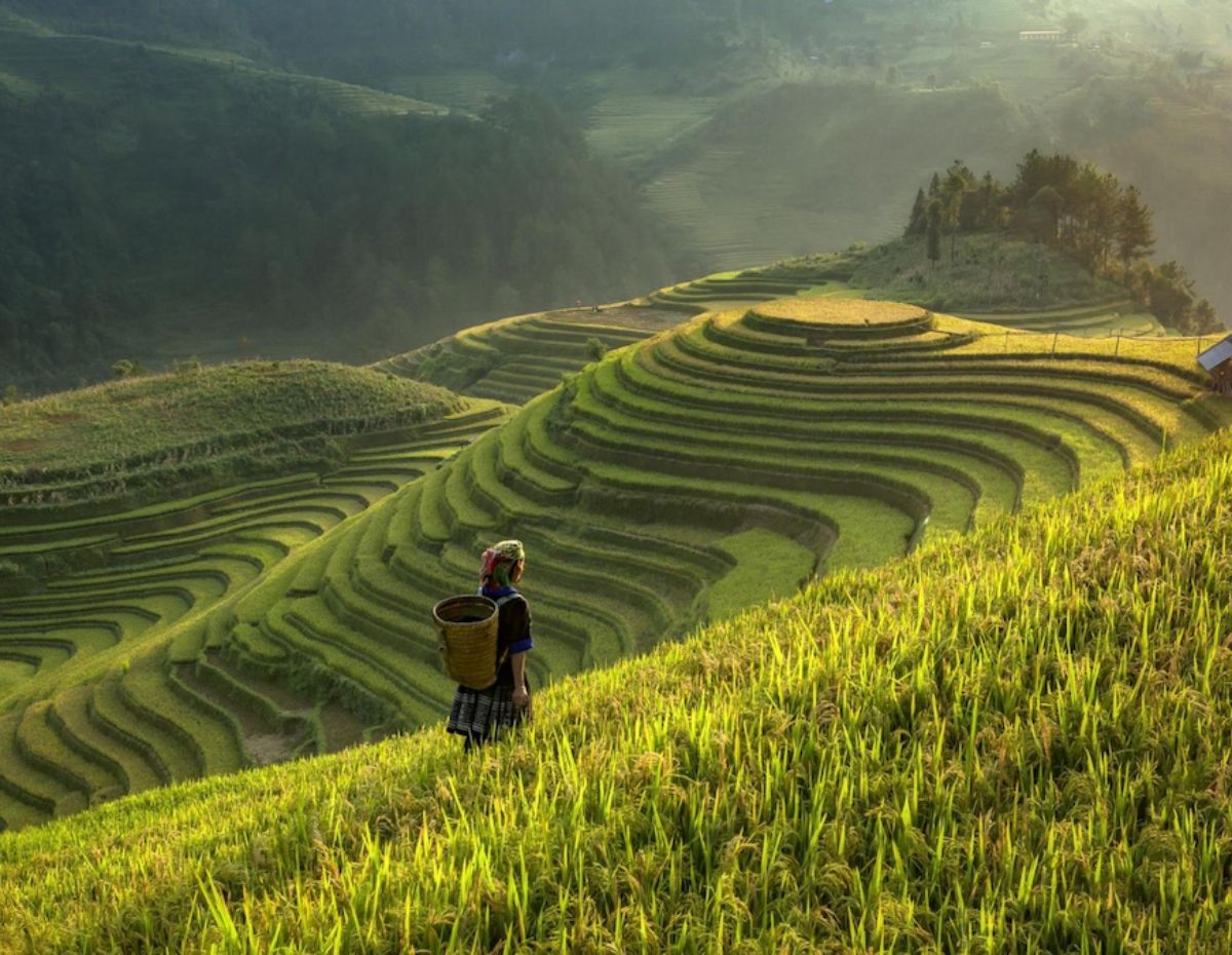 Places to visit in Vietnam 4