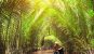 Cu Chi Tunnels and Mekong Delta Tour