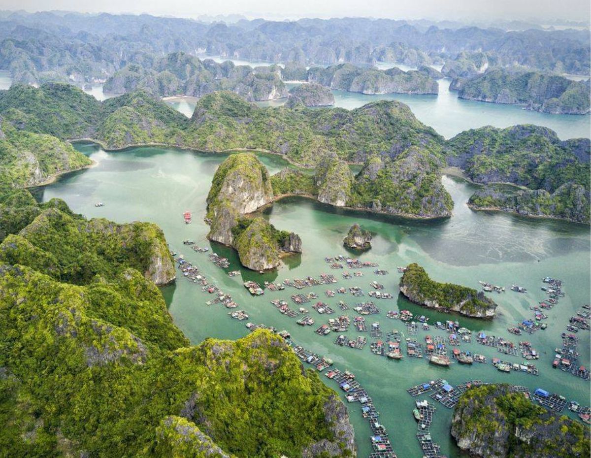 Halong Bay Cruise 5