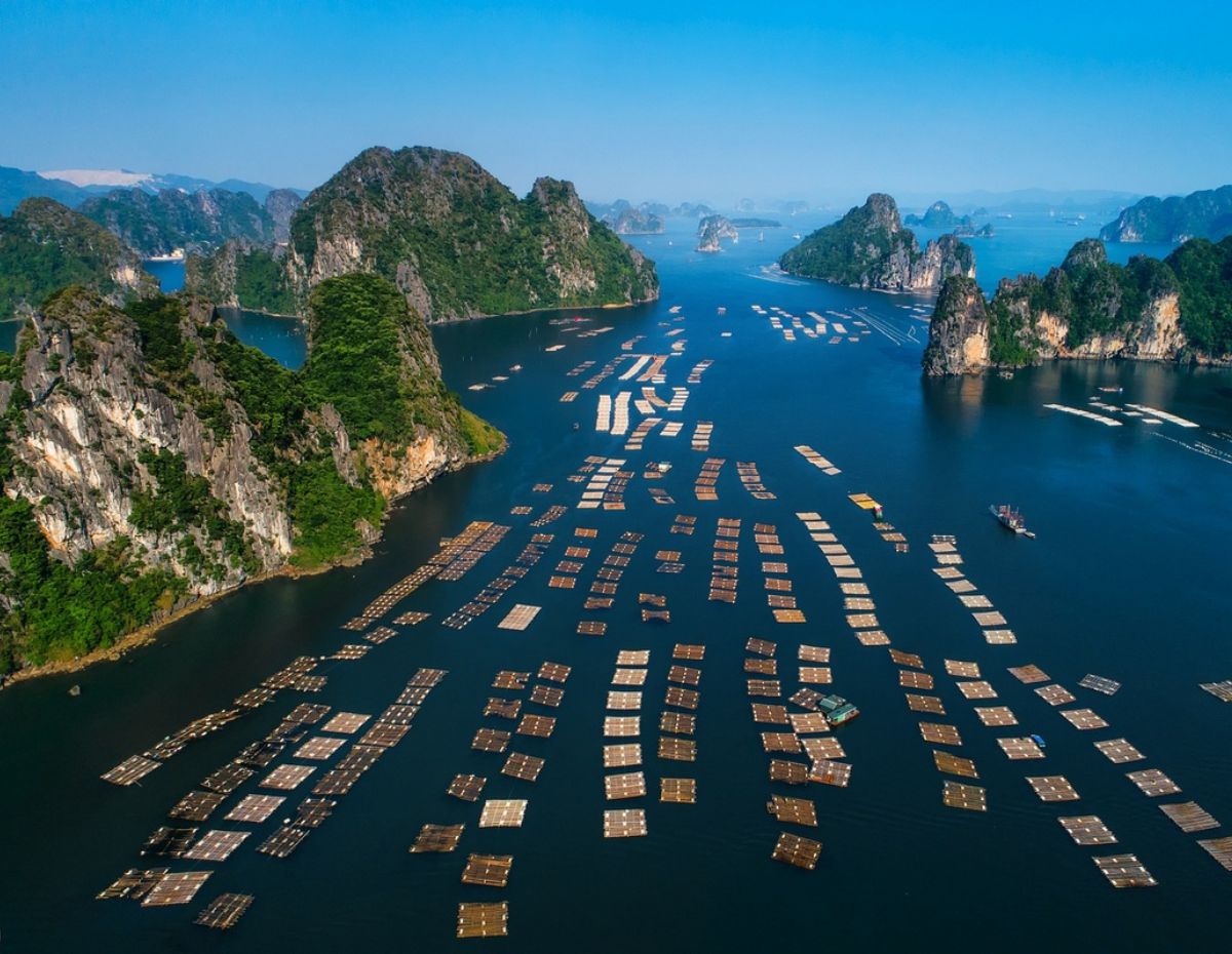 Halong Bay Cruise 6