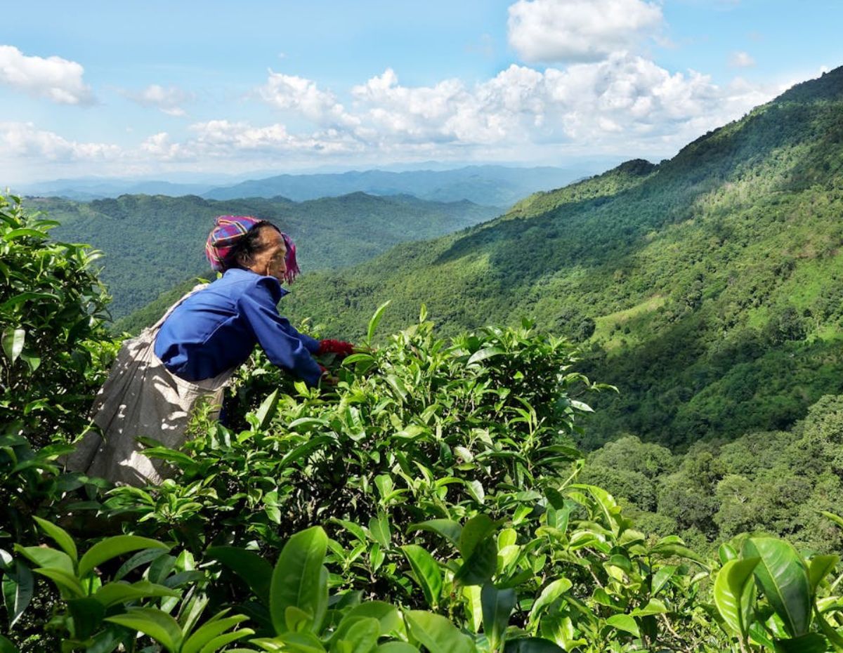 Southern Laos Adventure